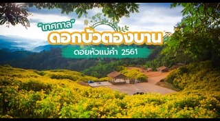 ทุ่งดอกบัวตอง