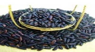 ข้าวเหนียวดำ