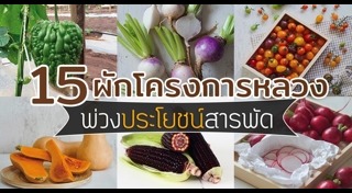 โครงการหลวง