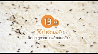 วิธีกำจัดมอด