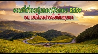 ทุ่งดอกบัวตอง