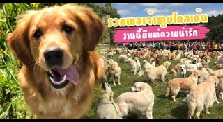 ข่าวสัตว์เลี้ยง