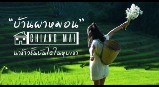 นาขั้นบันได