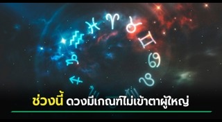 หมอช้าง ทศพร