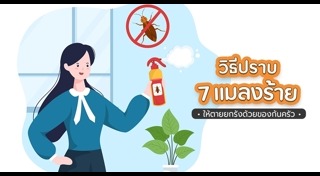 วิธีกำจัดแมลงหวี่