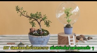 พันธุ์ไม้