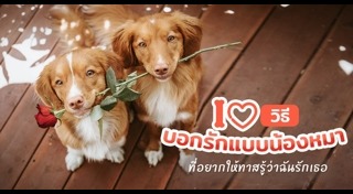 พฤติกรรมสัตว์