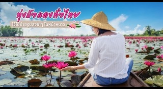 ทะเลบัวแดง