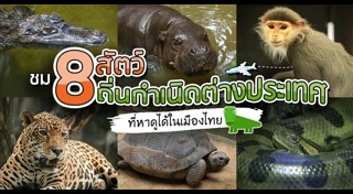 เที่ยวเขาดิน