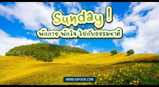 ดูดวงเดือนธันวาคม