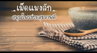 สมุนไพรบำรุงผม