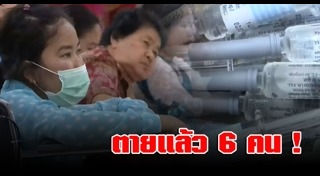 ไข้หวัดใหญ่สายพันธุ์บี