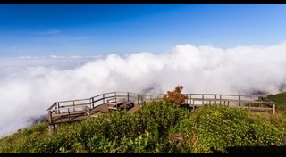 ดอยอ่างขาง