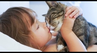 มะเร็งกระเพาะอาหาร