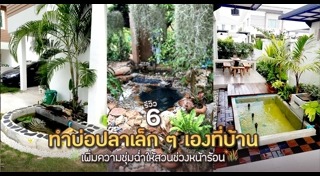 บ่อปลาในสวน