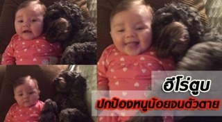 หมาช่วยเด็ก