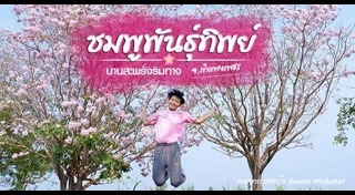 เที่ยวกำแพงเพชร