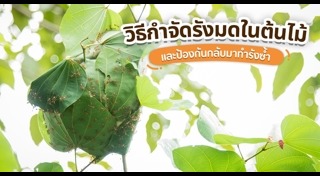 วิธีกำจัดสัตว์