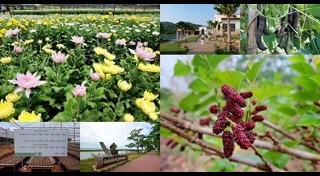 ที่เที่ยวมุกดาหาร