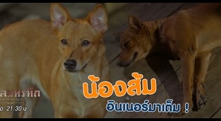 กาหลมหรทึก