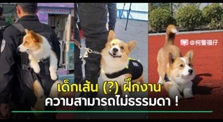 สุนัขตำรวจ