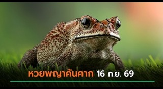 ข่าวหวย