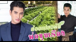 ผักไฮโดรโปนิกส์