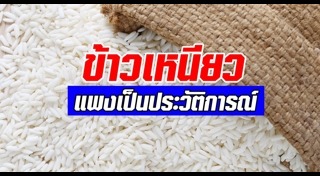 ข้าวหอมมะลิ