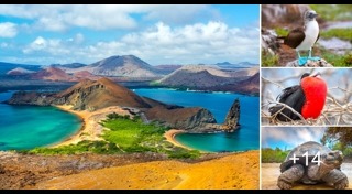 เกาะกาลาปากอส