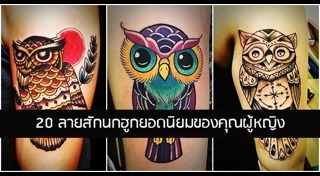 ลายสักนกฮูก