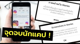 อินสตาแกรมแมว