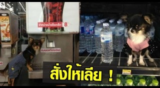 ดราม่าเซเว่น อีเลฟเว่น