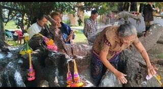 ต้นตะเคียน