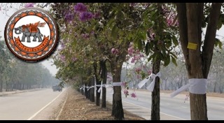 มหาวิทยาลัยนเรศวร