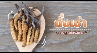 สมุนไพรปลุกอารมณ์ทางเพศ