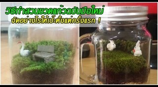 จัดสวนมอสส์