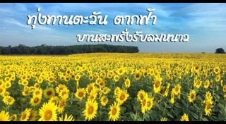 เที่ยวนครสวรรค์