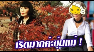 ทรงผมหน้าม้าดารา