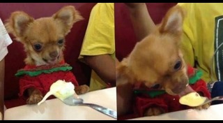 ดราม่าเซเว่น อีเลฟเว่น