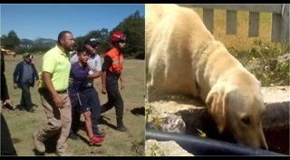 หมาช่วยเด็ก