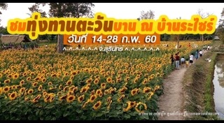 ที่เที่ยวสุรินทร์