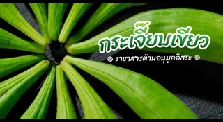 กระเจี๊ยบเขียว