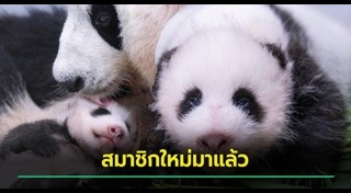 สวนสัตว์