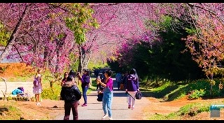 ที่เที่ยวตามรอยละคร