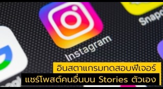 อินสตาแกรมแมว