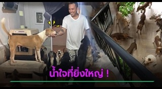 มิตรภาพคนกับสัตว์