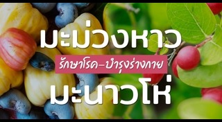 มะม่วงหาวมะนาวโห่