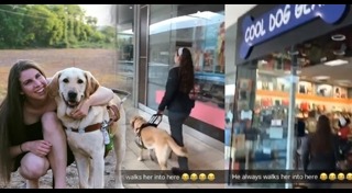 สุนัขนำทาง