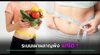 อ้วนลงพุง