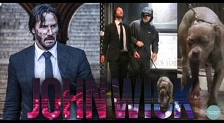 John Wick 3